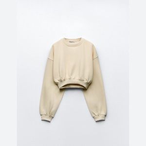 Zara basic crop sweatshirt